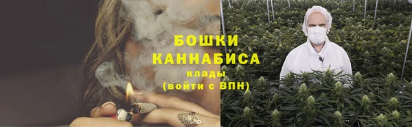 хмурый Липки