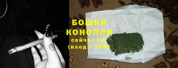 хмурый Липки