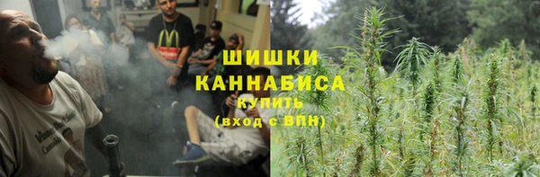 хмурый Липки