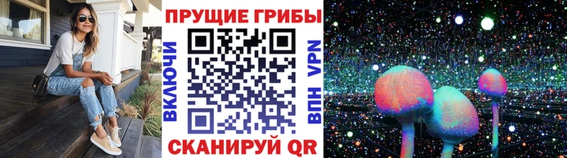 Галлюциногенные грибы GOLDEN TEACHER  МЕГА как войти  Юхнов 