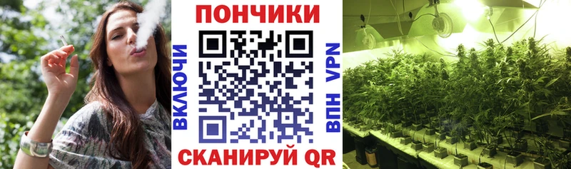 купить наркотик  Юхнов  Бошки марихуана сатива 